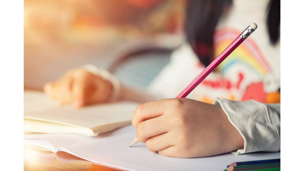 A Flexible Curriculum for 21st Century Skills: A Guide